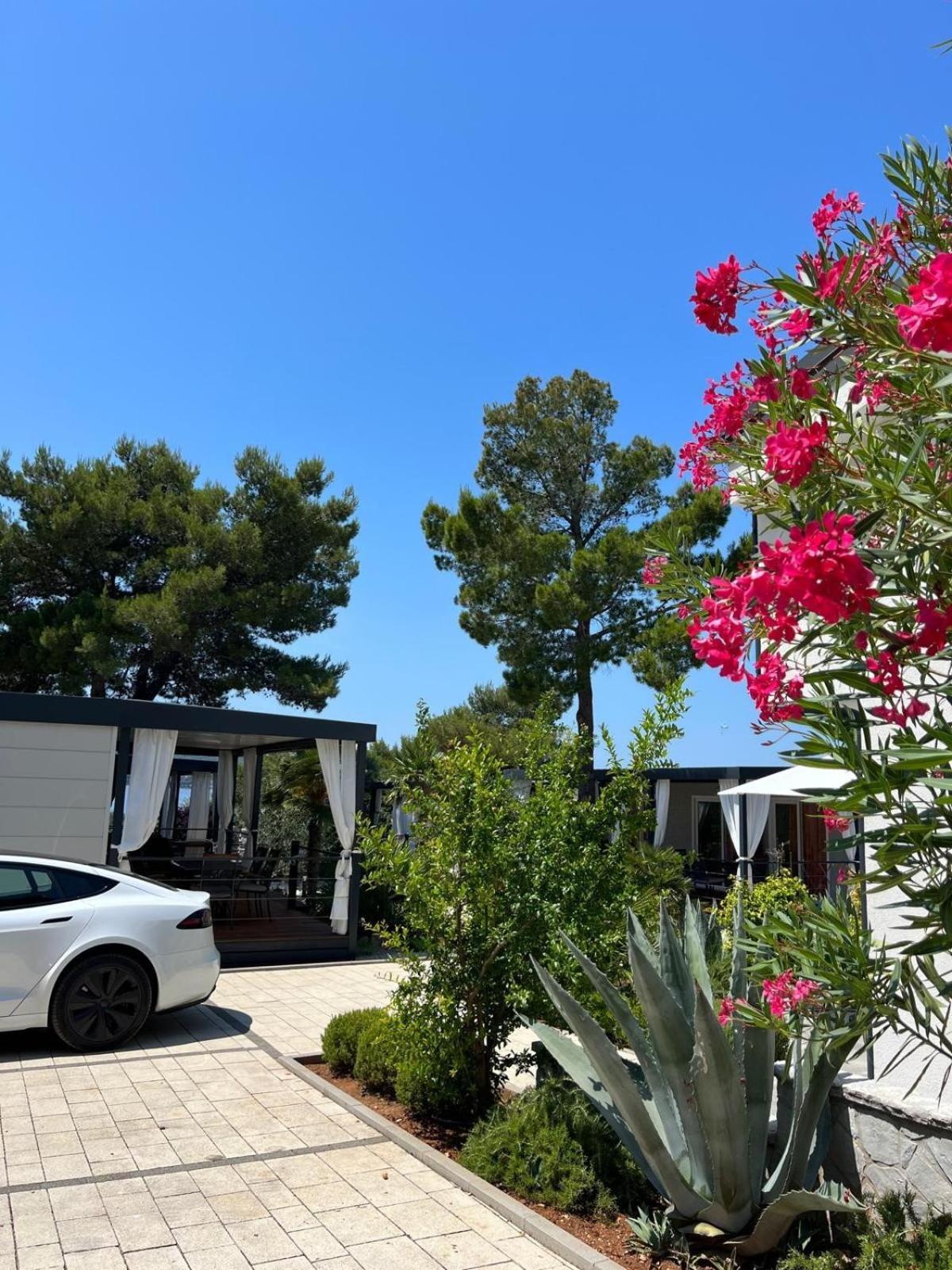 Dalmaris Camp - Prestige Mobile Homes Biograd Na Moru Εξωτερικό φωτογραφία